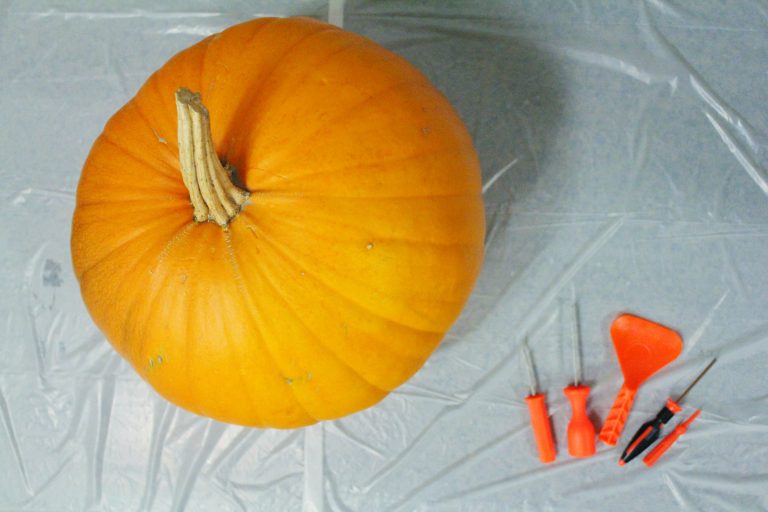 How To Carve A Pumpkin LIKE A PRO + Pumpkin Seed Recipe!
