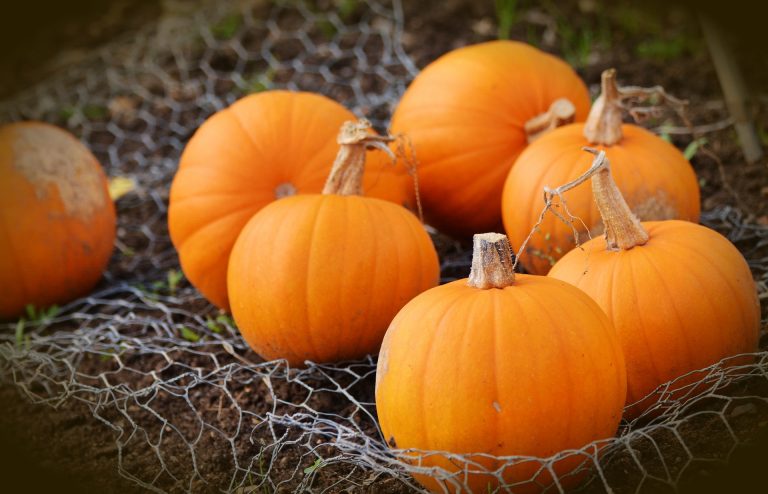 8 Ways To Decorate With Pumpkins