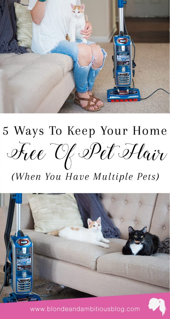 5 Ways To Keep Your Home Free Of Pet Hair (When You Have Multiple Pets)